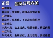 爱游戏体育官网-不来梅队士气高昂，冲击榜首的简单介绍