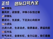爱游戏体育官网-不来梅队士气高昂，冲击榜首的简单介绍