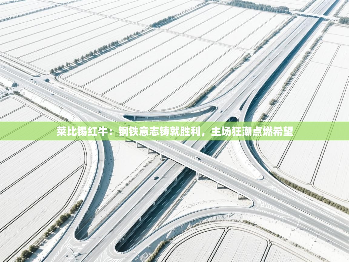 莱比锡红牛：钢铁意志铸就胜利，主场狂潮点燃希望  第2张