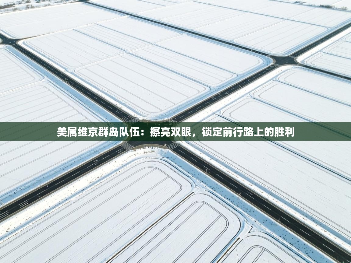 美属维京群岛队伍:擦亮双眼,锁定前行路上的胜利 第1张