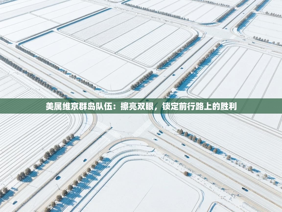 美属维京群岛队伍:擦亮双眼,锁定前行路上的胜利 第2张