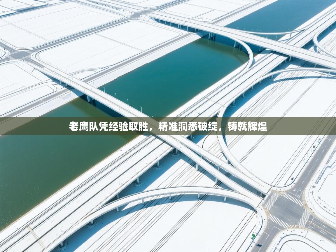 老鹰队凭经验取胜,精准洞悉破绽,铸就辉煌 第2张