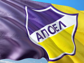 爱游戏体育官网-欧洲冠军在跳水项目中获得金牌 第4张